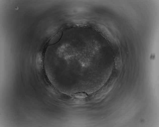 X0000102351298200808291151