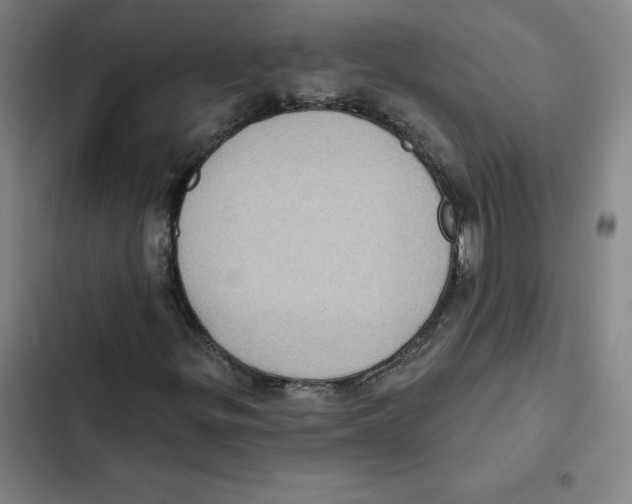 X0000102351299200808291151