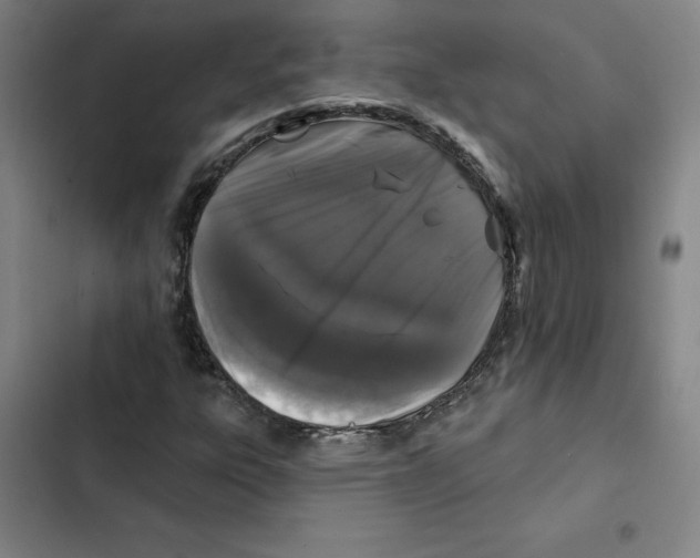 X0000102351303200808291151