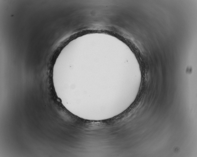 X0000102351304200808291151