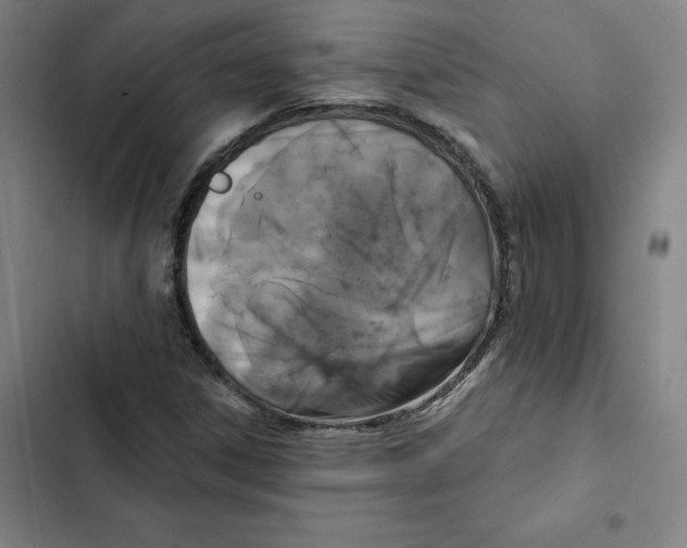 X0000102351306200808291151
