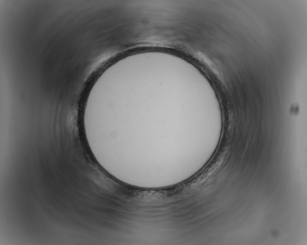 X0000102351307200808291151
