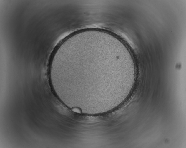 X0000102351308200808291151
