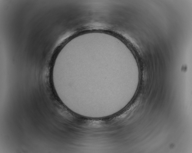 X0000102351309200808291151
