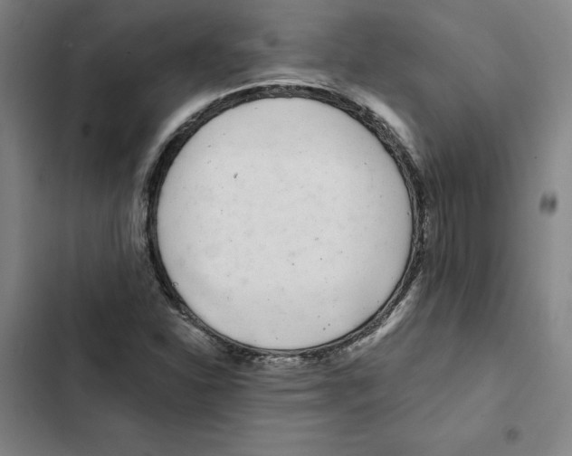 X0000102351310200808291151
