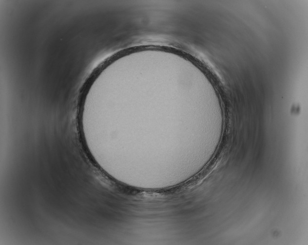 X0000102351312200808291151
