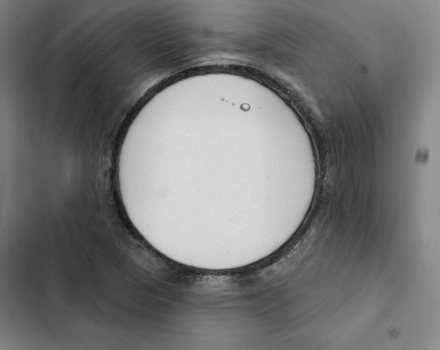 X0000102351313200808291151