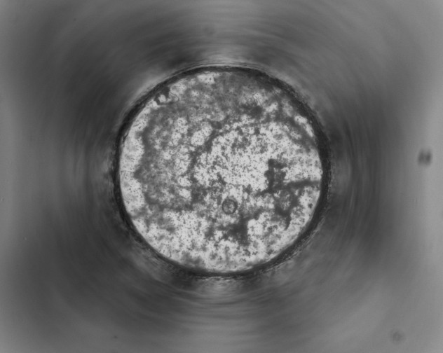 X0000102351314200808291151