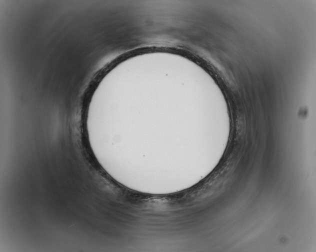 X0000102351315200808291151