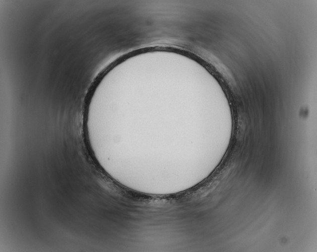 X0000102351316200808291151