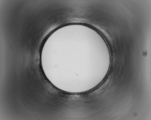 X0000102351317200808291151
