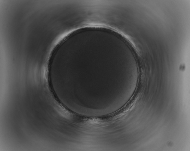 X0000102351319200808291151