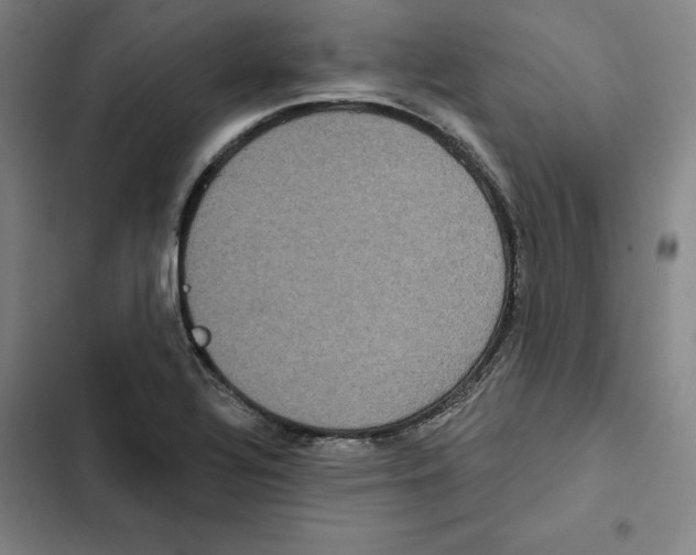 X0000102351320200808291151
