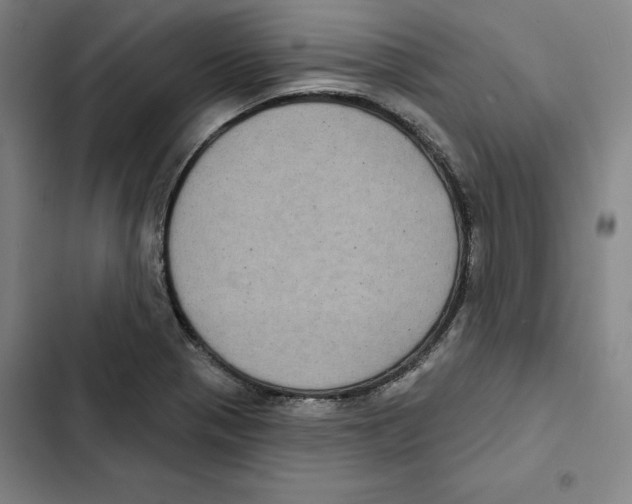 X0000102351321200808291151