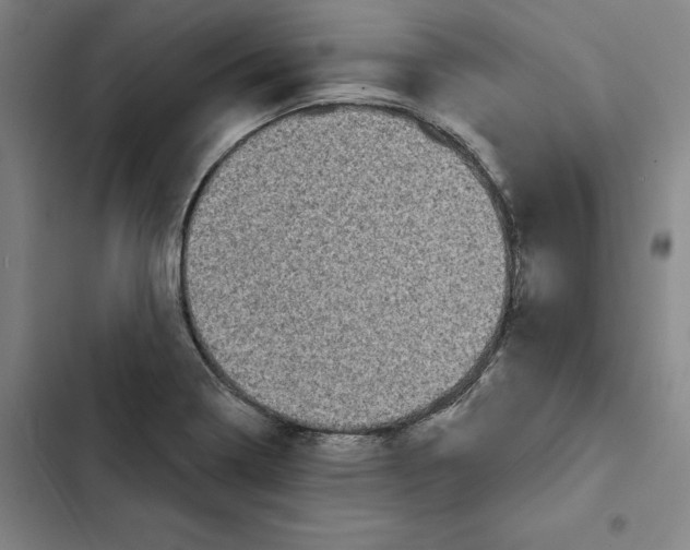 X0000102351322200808291151