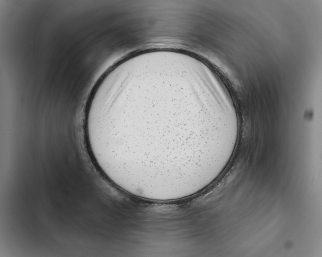 X0000102351325200808291152