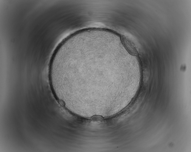 X0000102351326200808291152