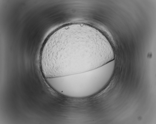 X0000102351328200808291152
