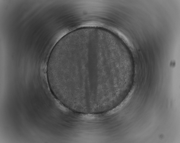 X0000102351329200808291152