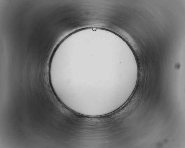 X0000102351332200808291152