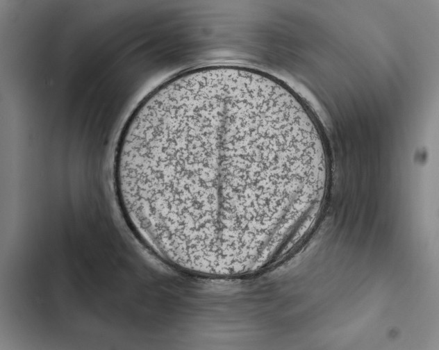 X0000102351333200808291152