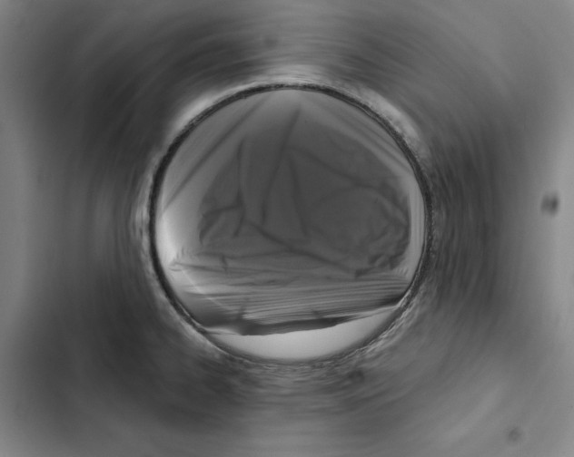 X0000102351334200808291152