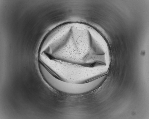 X0000102351335200808291152