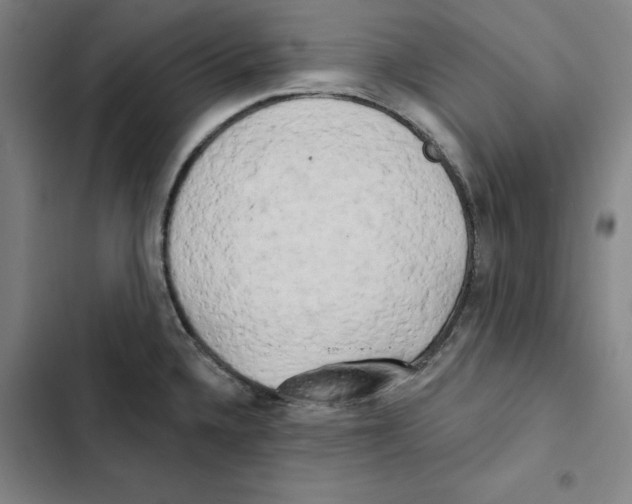 X0000102351336200808291152