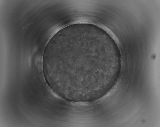X0000102351337200808291152