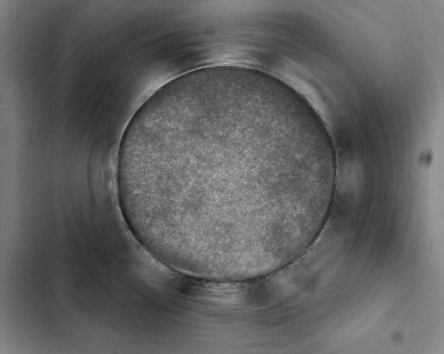 X0000102351338200808291152