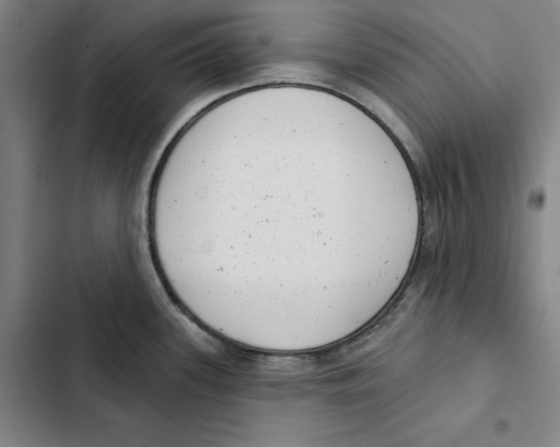 X0000102351339200808291152