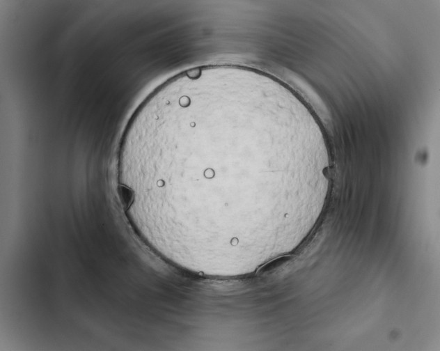 X0000102351340200808291152
