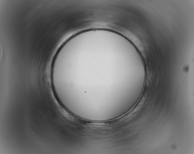 X0000102351342200808291152