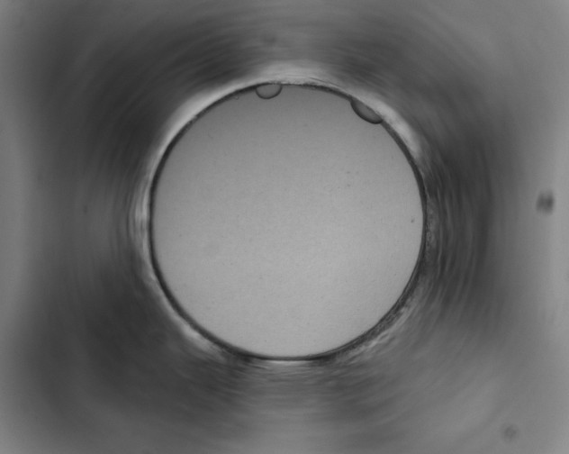 X0000102351343200808291152