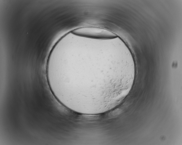 X0000102351344200808291152