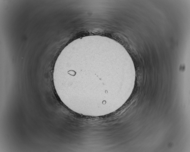 X0000102351345200808291151