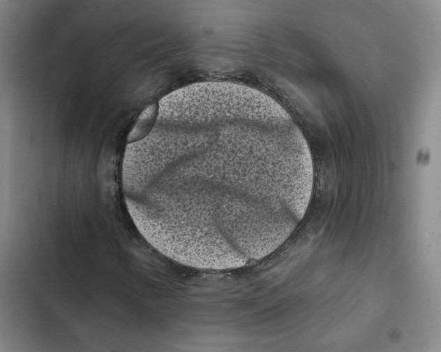 X0000102351346200808291151