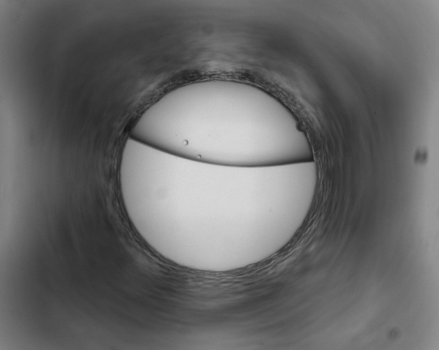 X0000102351348200808291151