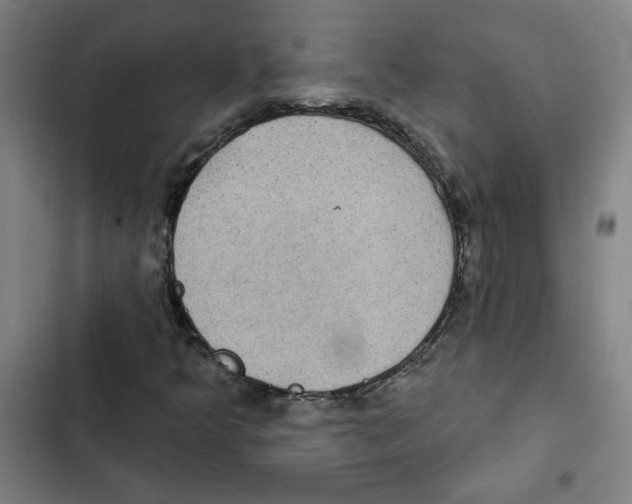 X0000102351349200808291151