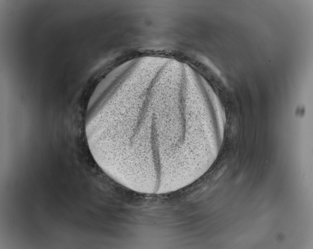 X0000102351350200808291151