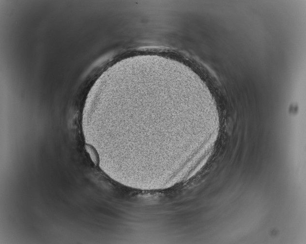 X0000102351351200808291151