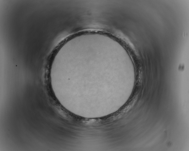 X0000102351352200808291151
