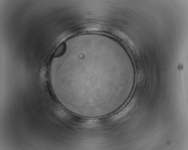 X0000102351353200808291151