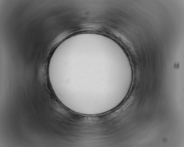 X0000102351354200808291151
