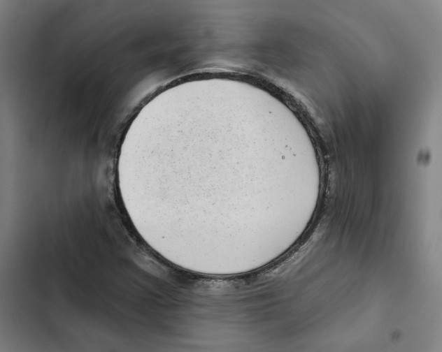 X0000102351355200808291151