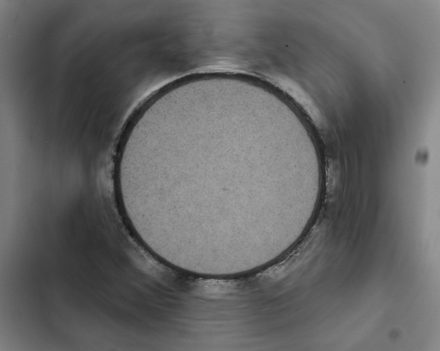 X0000102351356200808291151