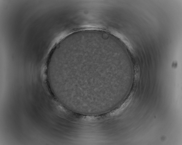 X0000102351357200808291151