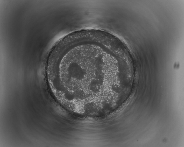 X0000102351359200808291151