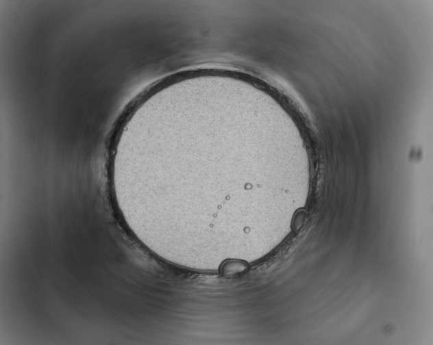 X0000102351360200808291151