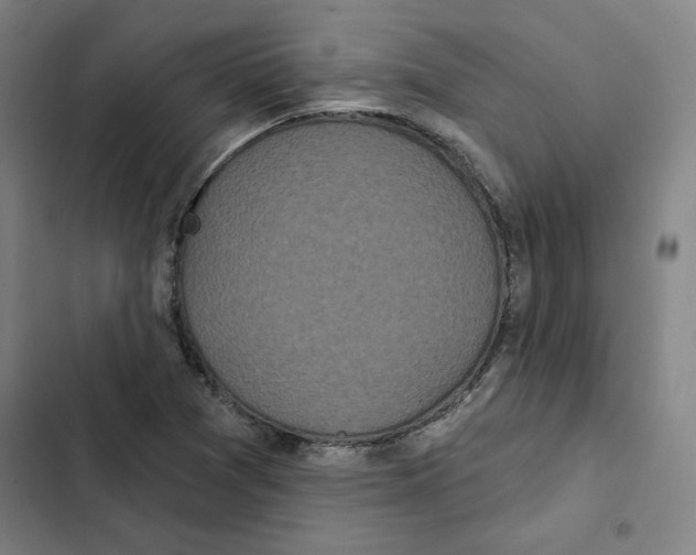 X0000102351361200808291151